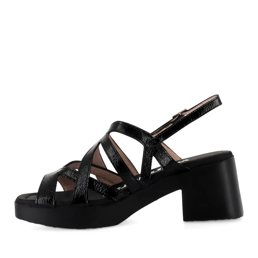 DIAS D-1003 - BLACK PATENT LEATHER