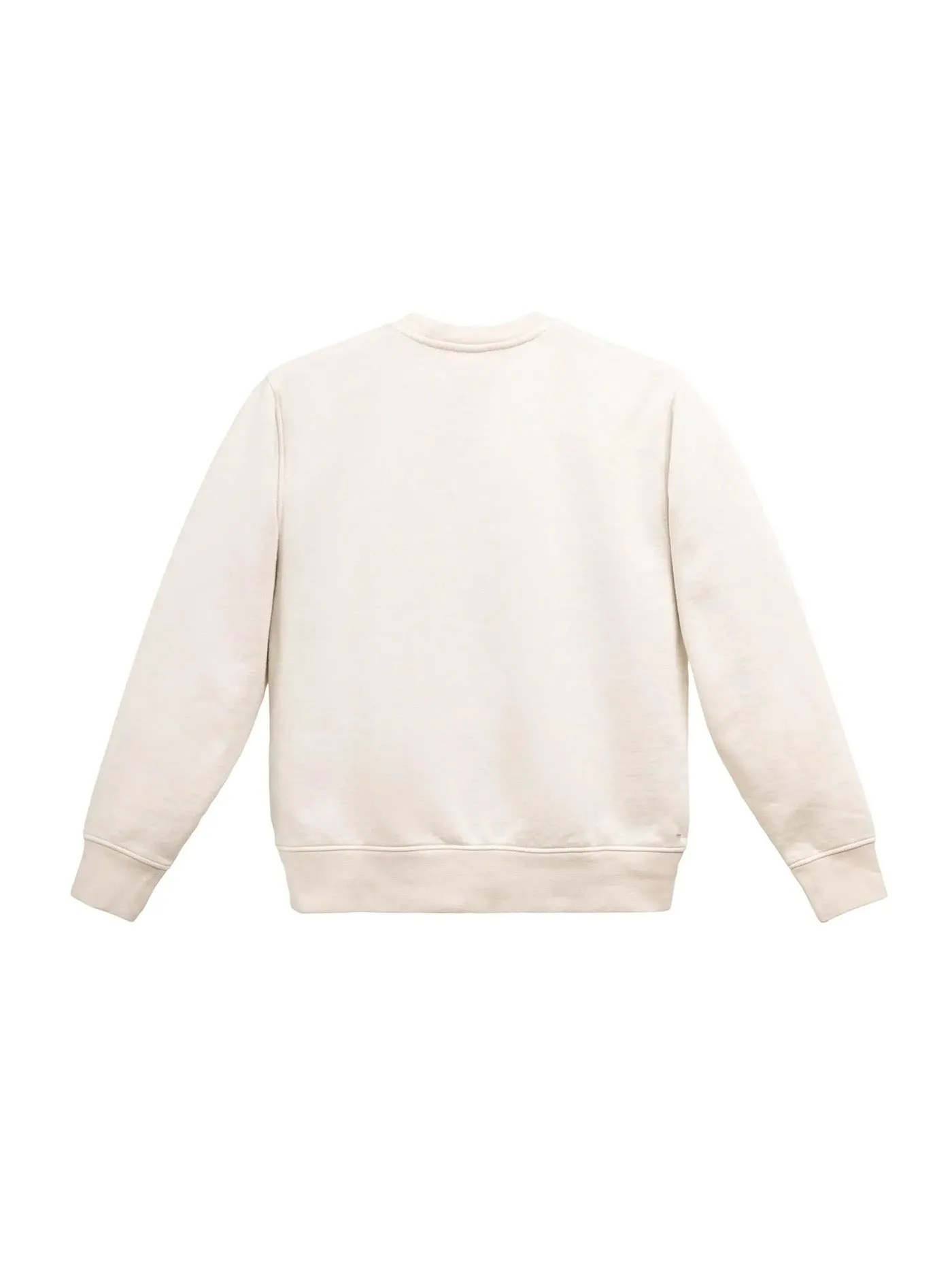 Basic Crewneck Sweatshirt